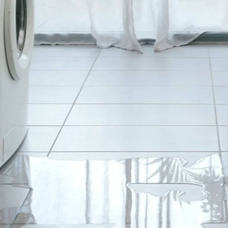 Appliance Leak Cleanup in Ithaca, MI
