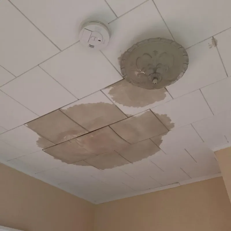 Ceiling Water Damage Repair in Ithaca, MI