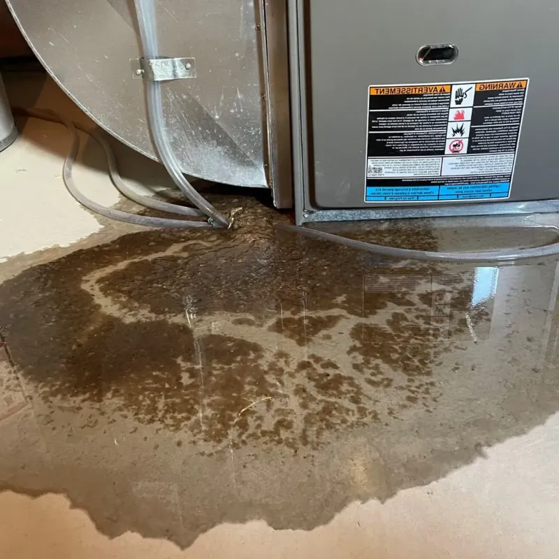 Pipe Burst and Leak Restoration in Ithaca, MI