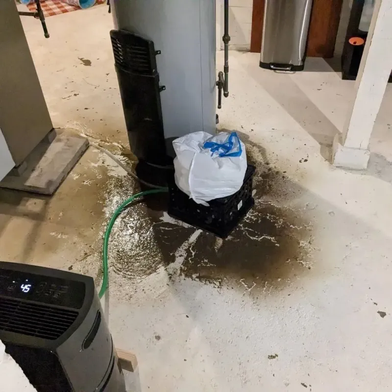 Sewage Backup Cleanup Service in Ithaca, MI